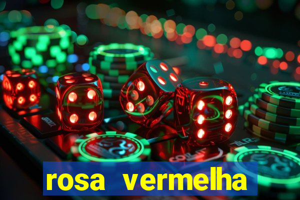 rosa vermelha (letra e cifra)